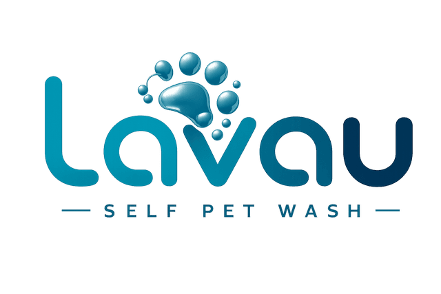 Lavau